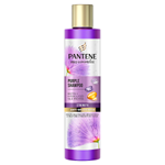 Pantene Pro-V Miracles Strength & Anti-Brassiness Šampon, Fialový, 225ml