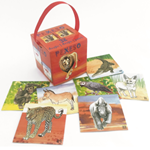 Safari - Pexeso v krabičce s úchopem