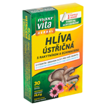 Maxi Vita Herbal Hlíva ústřičná s rakytníkem a echinaceou 30 kapslí 19,4g