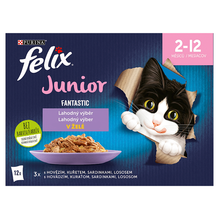 E-shop FELIX Fantastic Junior lahodný výběr 12 x 85g