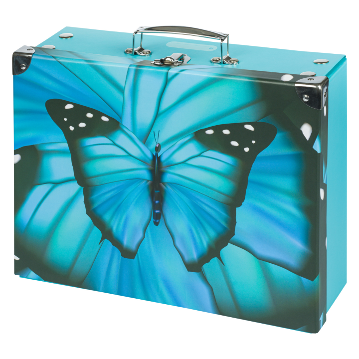 E-shop BAAGL Skládací školní kufřík Butterfly s kováním
