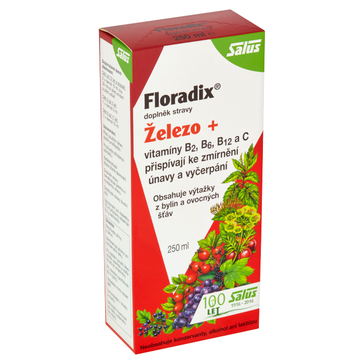 E-shop Floradix Železo + vitamíny 250ml