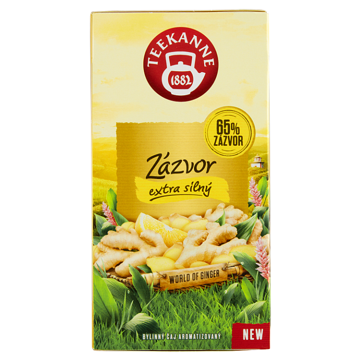 E-shop Teekanne World of Ginger Zázvor extra silný bylinný čaj aromatizovaný 20 x 1,75g (35g)